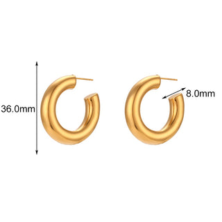 Celida Aretes de Acero Inoxidable 316L joyería