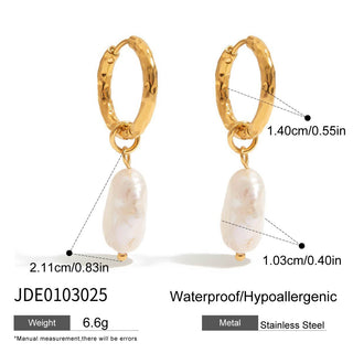 PREVENTA| DANITZA EARRINGS ACERO INOXIDABLE
